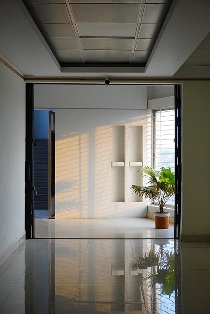 Photo of the office corridor in Vienna with paintings